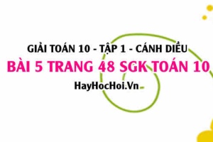 Giải bài 5 trang 48 Toán 10 Tập 1 SGK Cánh Diều